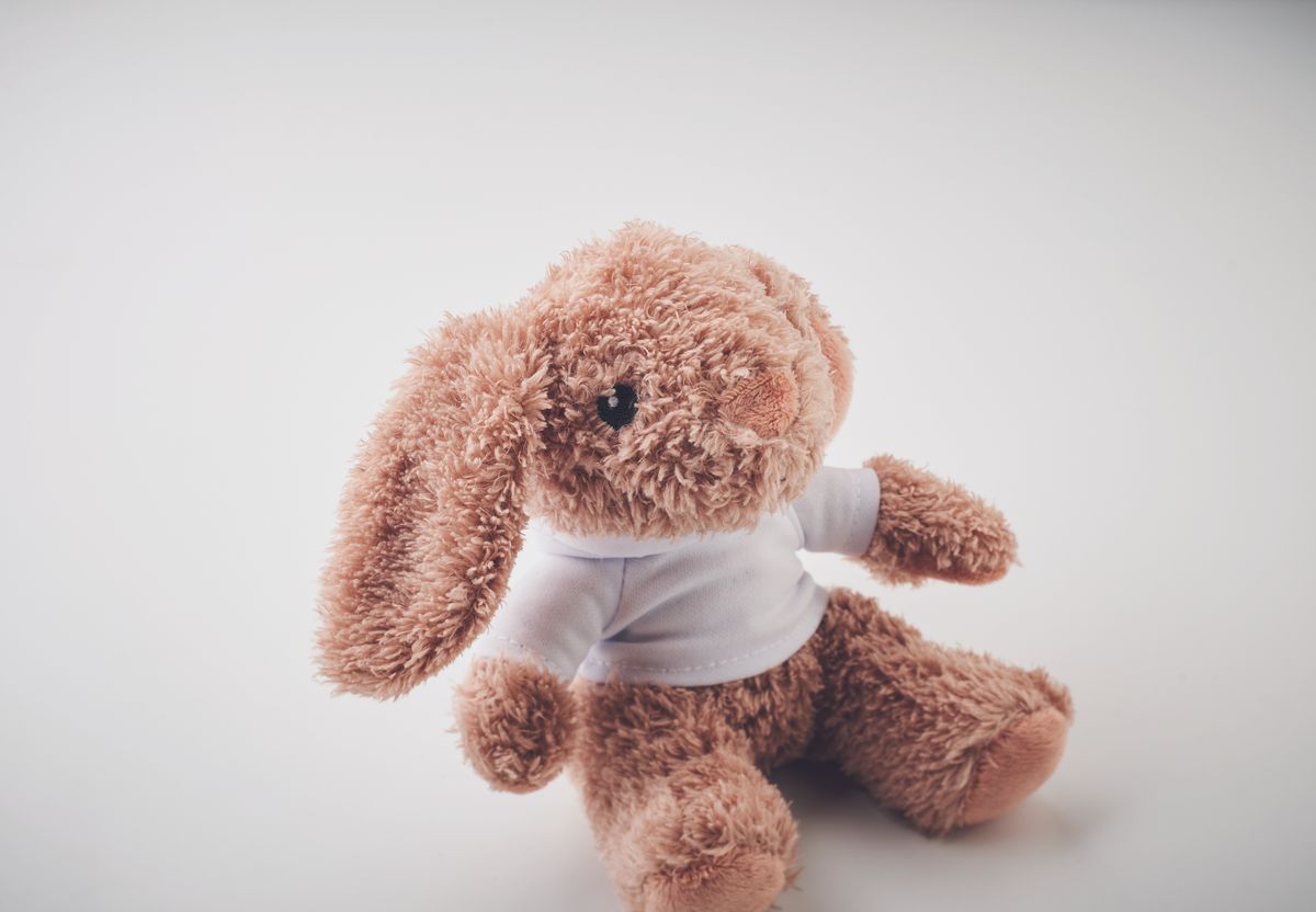 Bunny