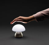 Luming Rcs Recycled Plastic Usb Re-Chargeable Table Lamp