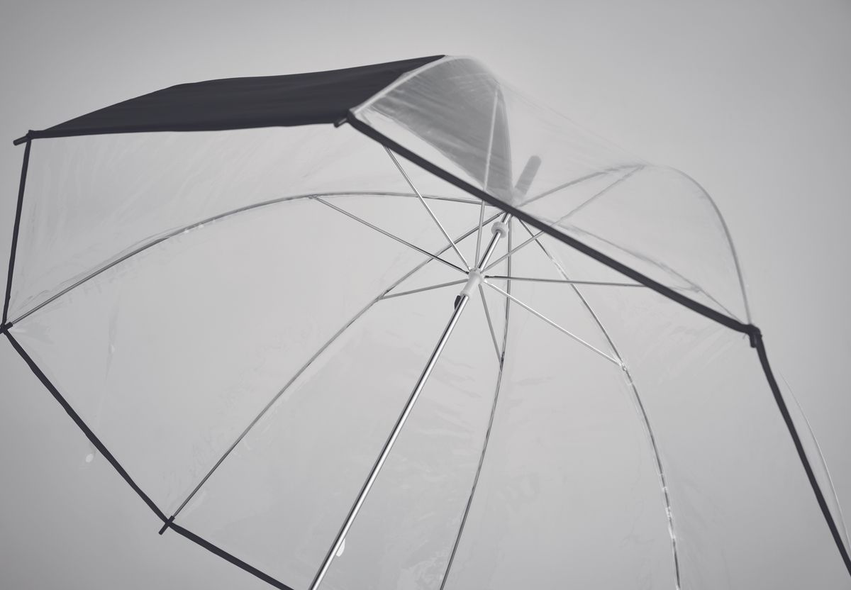 Gota