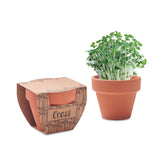 Cress Pot