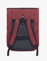 Bangkok Roll