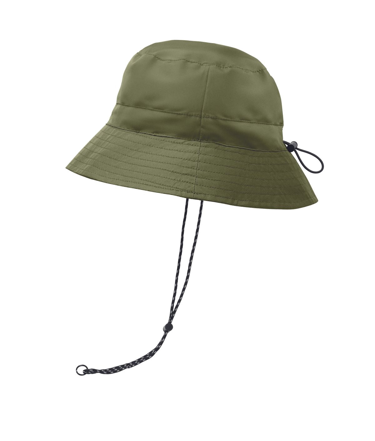Lanin