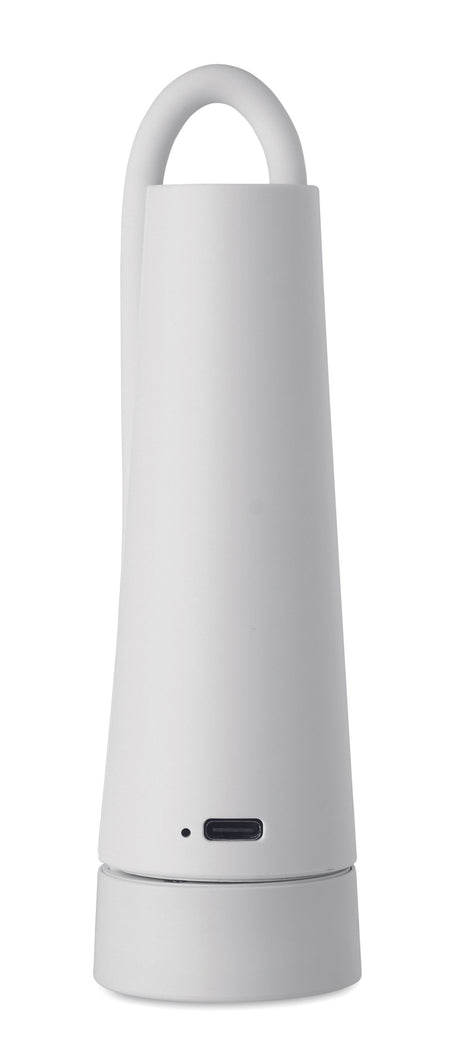 Torchlamp