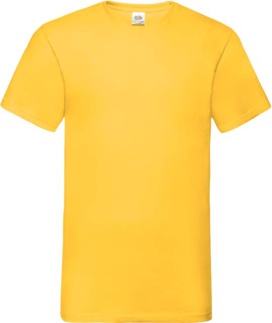 Valueweight V-Neck T