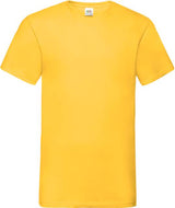 Valueweight V-Neck T