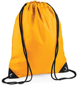 BG 10